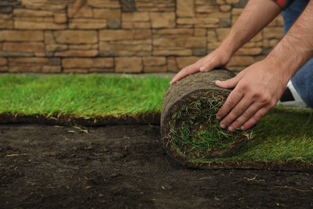 10 Best Grand Rapids Seasonal Turf Care Schedule