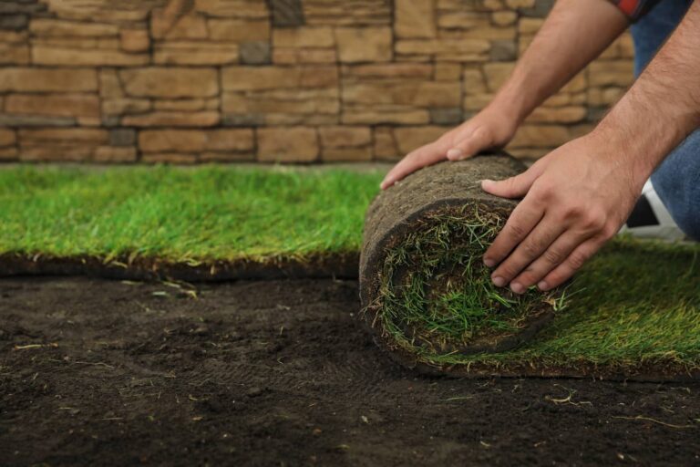 10 Best Grand Rapids Seasonal Turf Care Schedule