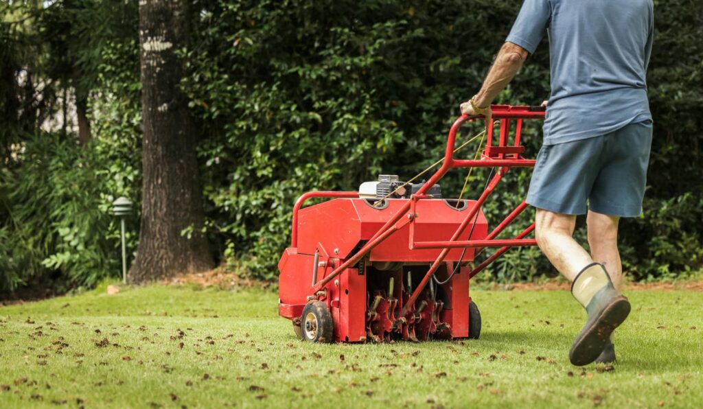 10 DIY Lawn Aeration Tips for Homeowners