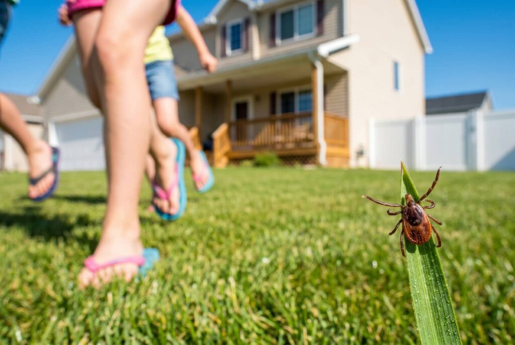 5 Seasonal Lawn Pest Control Tips — Grand Rapids