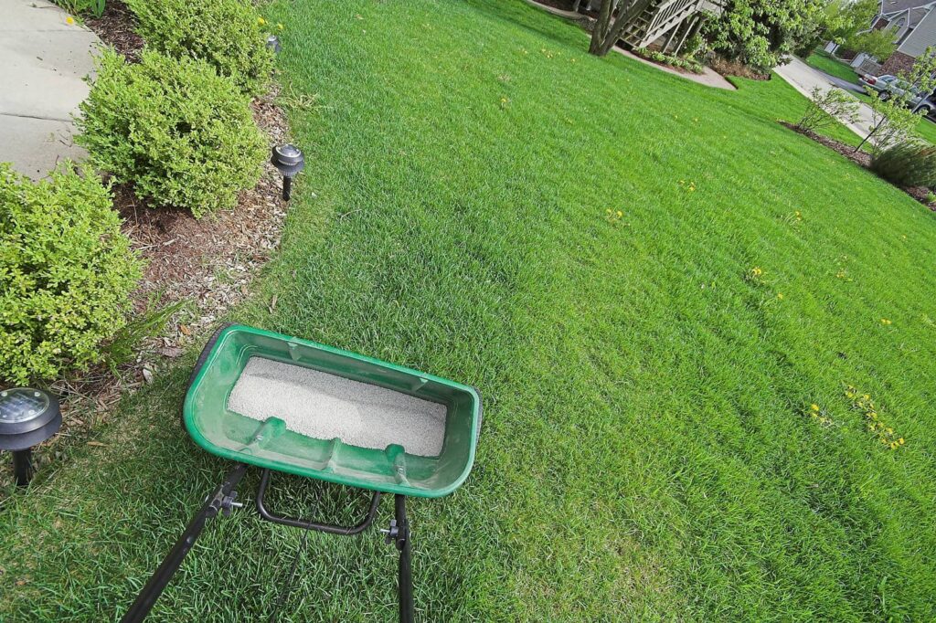7 Best Organic Lawn Fertilization Methods for Grand Rapids