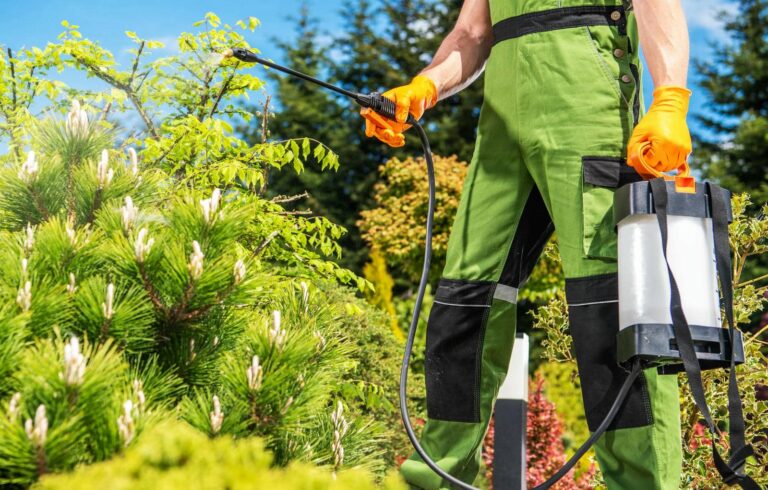 Person spraying plants in garden