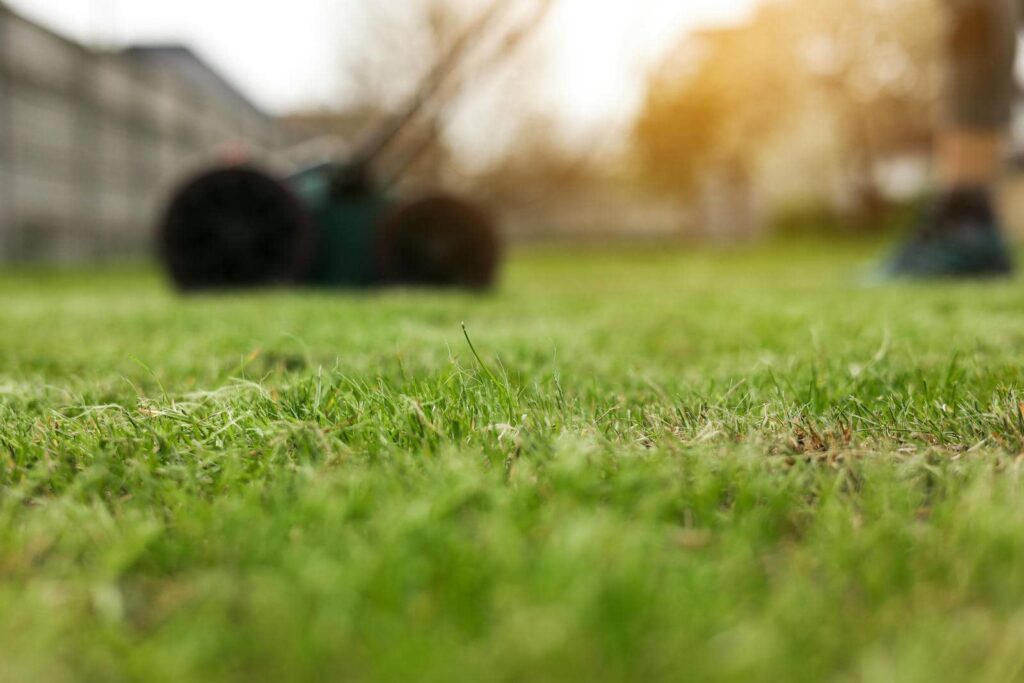7 Simple Tips for DIY Lawn Aeration