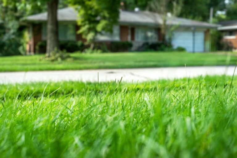 7 Tips for Spring Lawn Care in Cascade