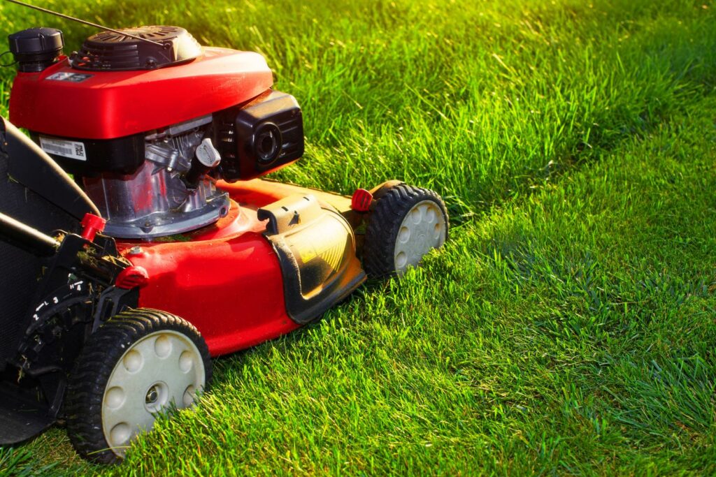 6 Best Practices for Sustainable Soil Enrichment Lawn Care