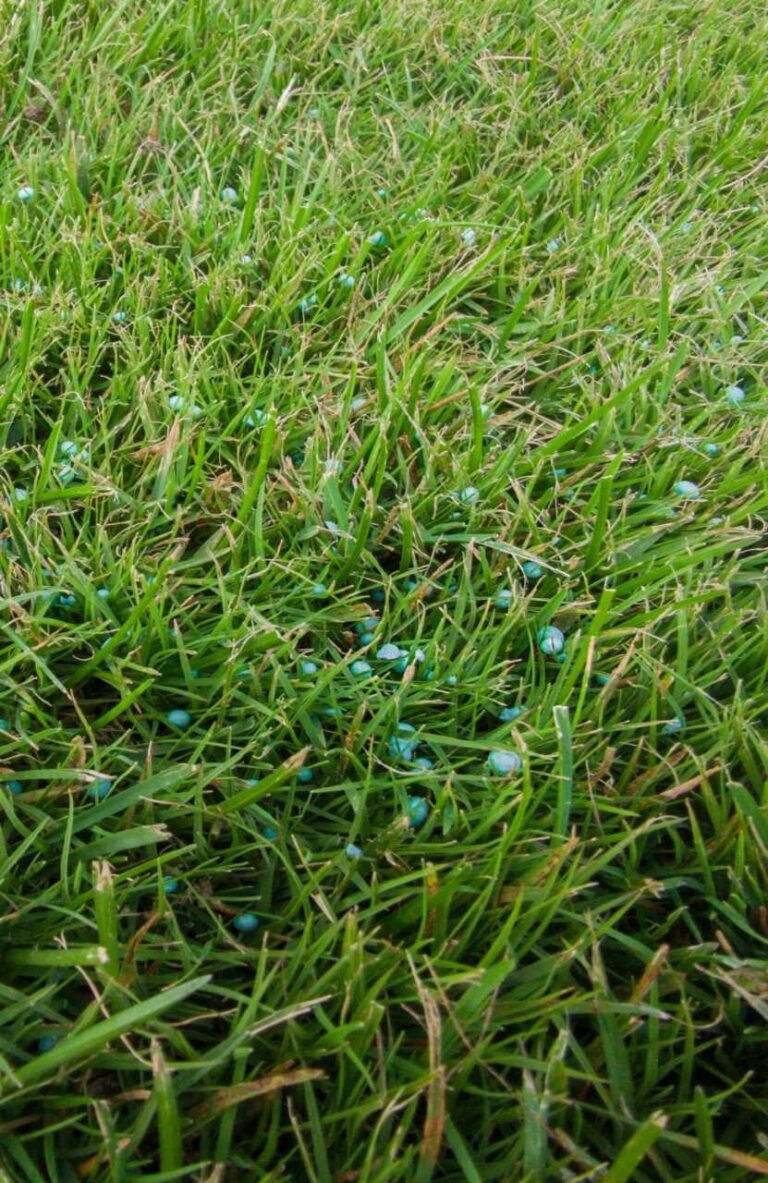 10 Eco-Friendly Weed Control Tips for Homeowners