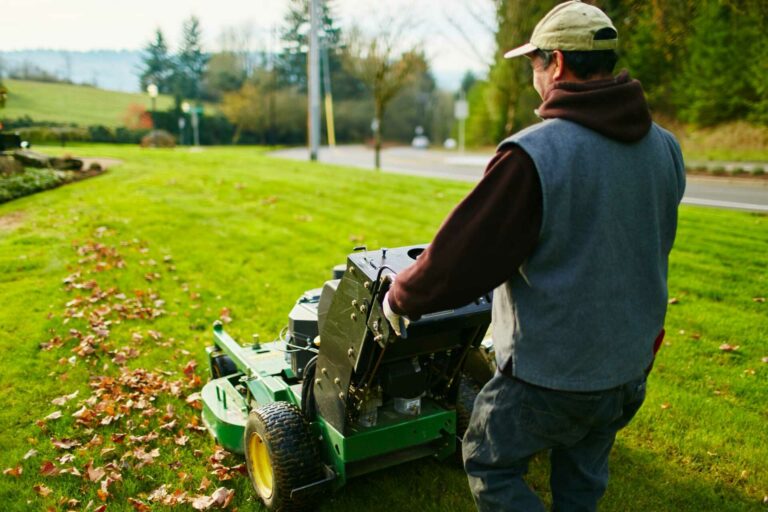 7 Best Fall Cleanup Services for Commercial Lawns