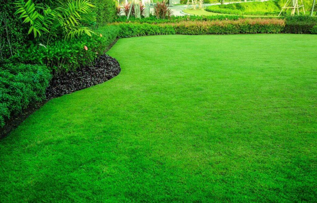 Why Prioritize Lawn Care Tips for Grand Rapids?