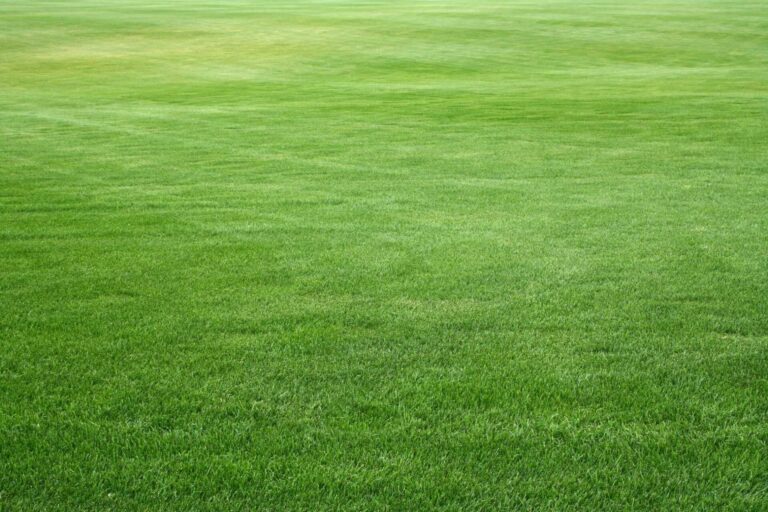 What Are Top Tips for Weed Prevention?