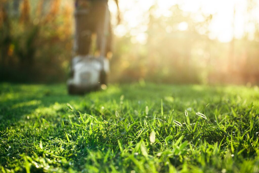 Enhancing Soil Health for Lush Lawns