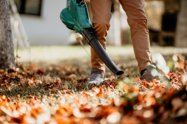 What Are the Best Fall Yard Pest Solutions?