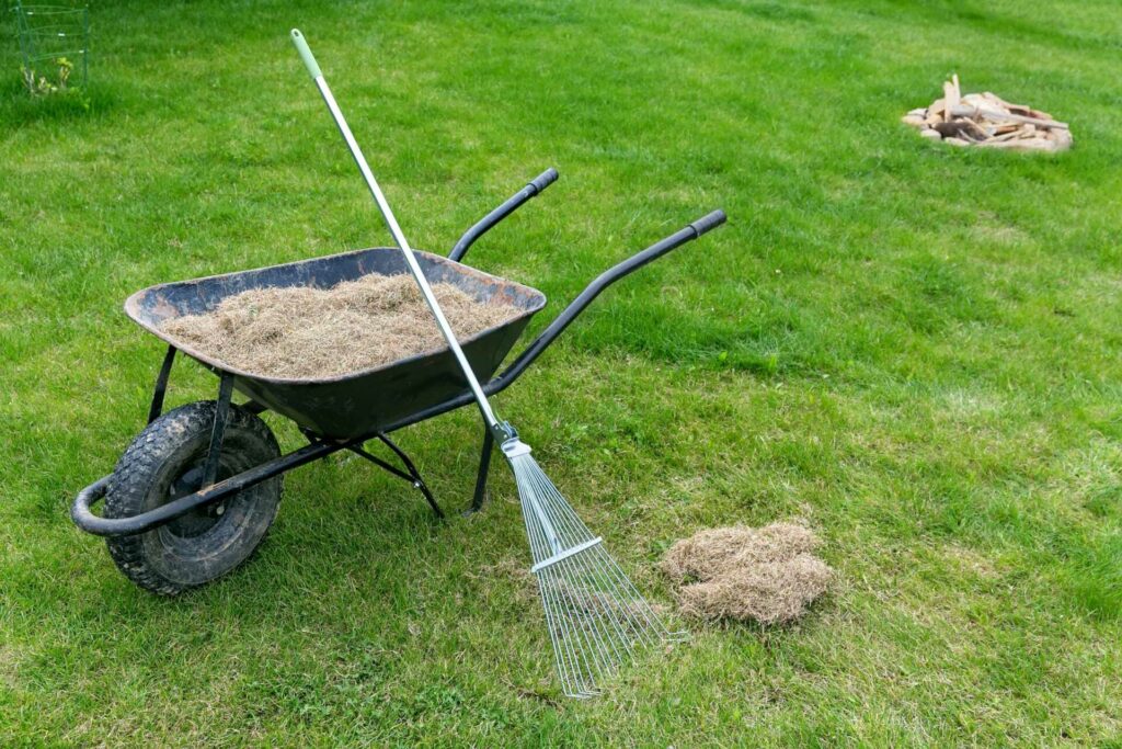 What Are Top Lawn Care Practices for Michigan?