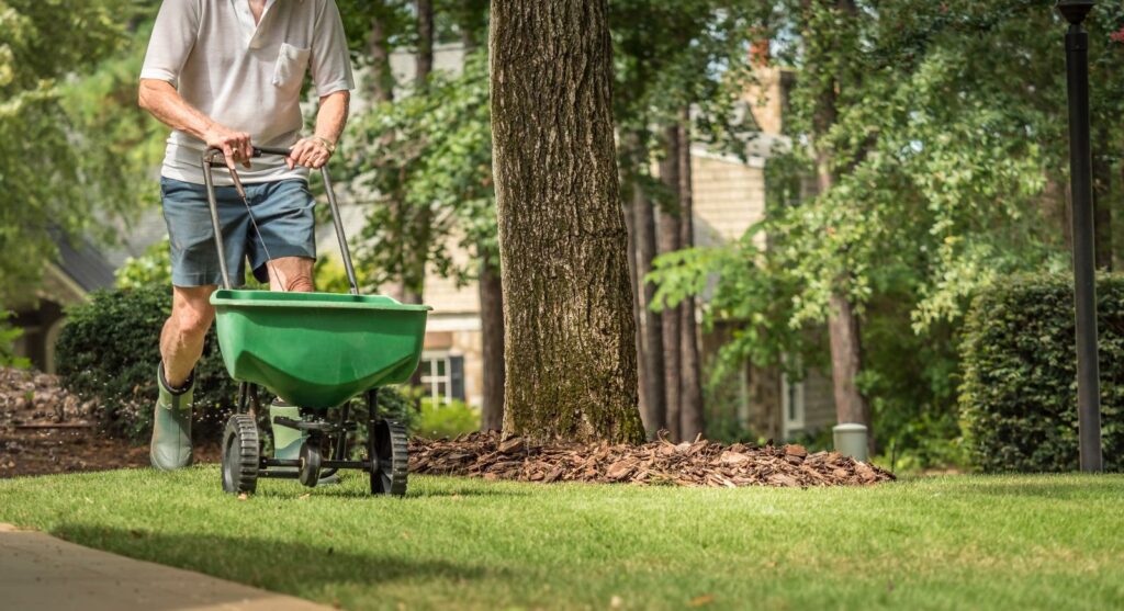 Ultimate Guide to Healthier Lawns: Soil Improvement Tips