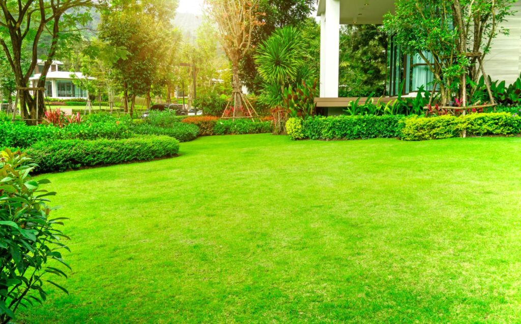 What Is the Optimal Lawn Fertilization Schedule?