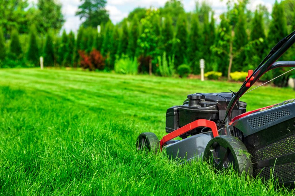 Why Is Soil Health Important for Organic Lawn Care?