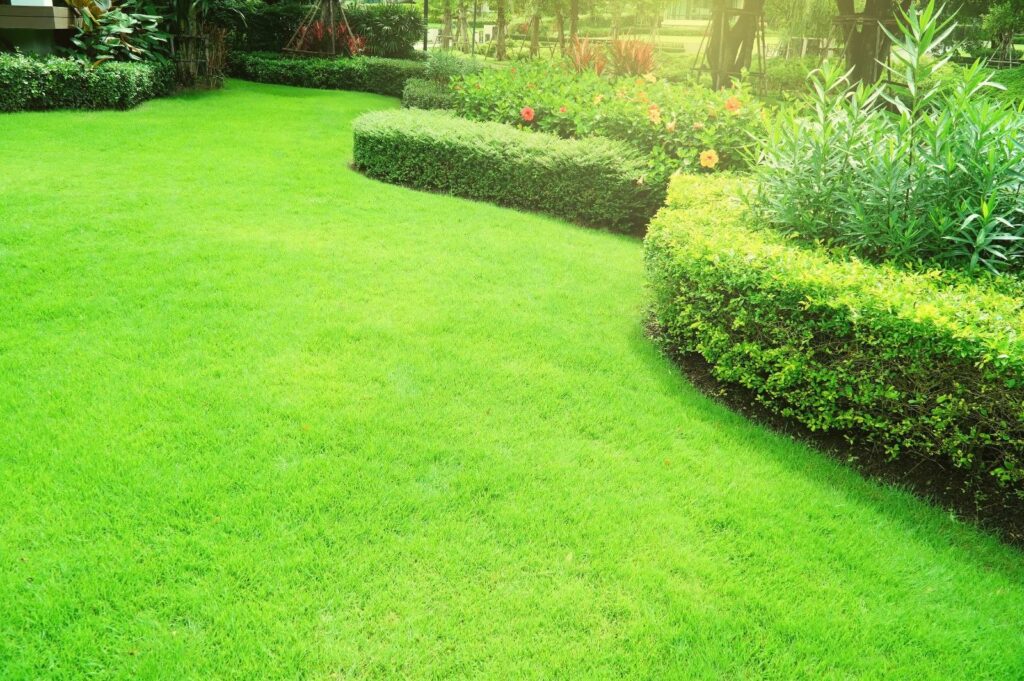 Why Is a Consistent Lawn Fertilization Schedule Important?