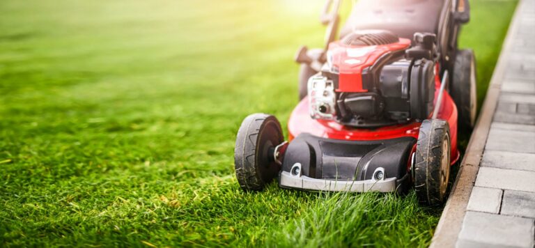 Natural Ways to Boost Soil Health for Lawns