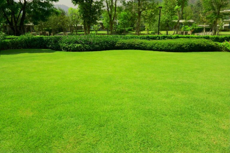 Seasonal Tips for Lawn Fertilization Success