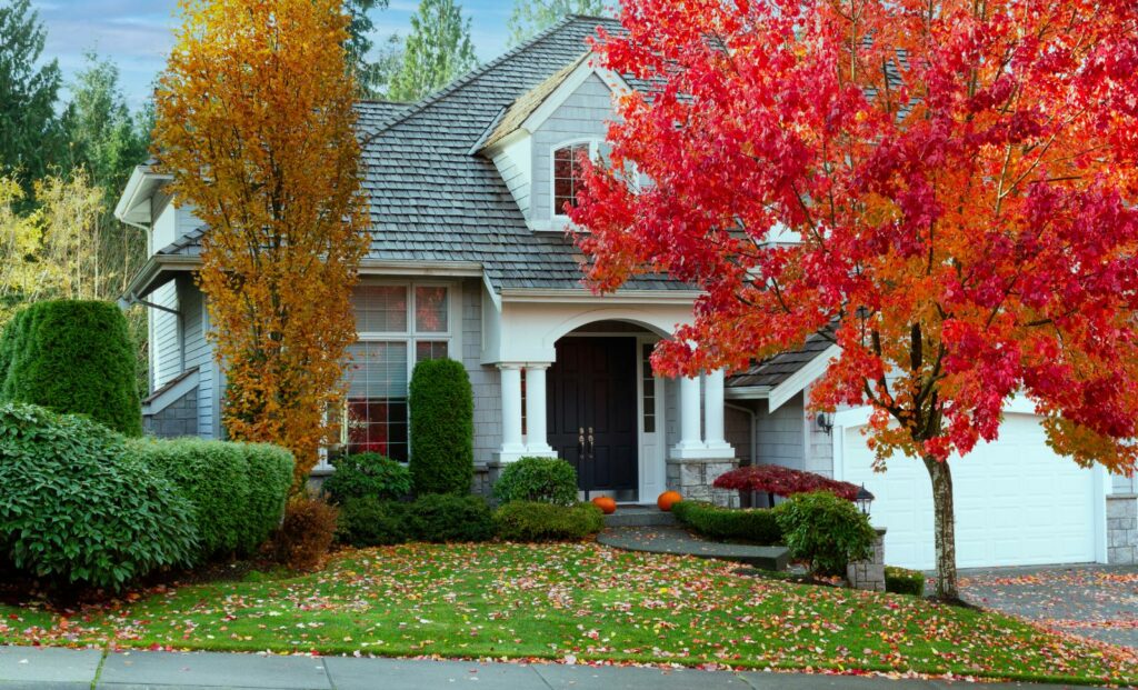 Budget-Friendly Fall Yard Clean-Up Tips You Need