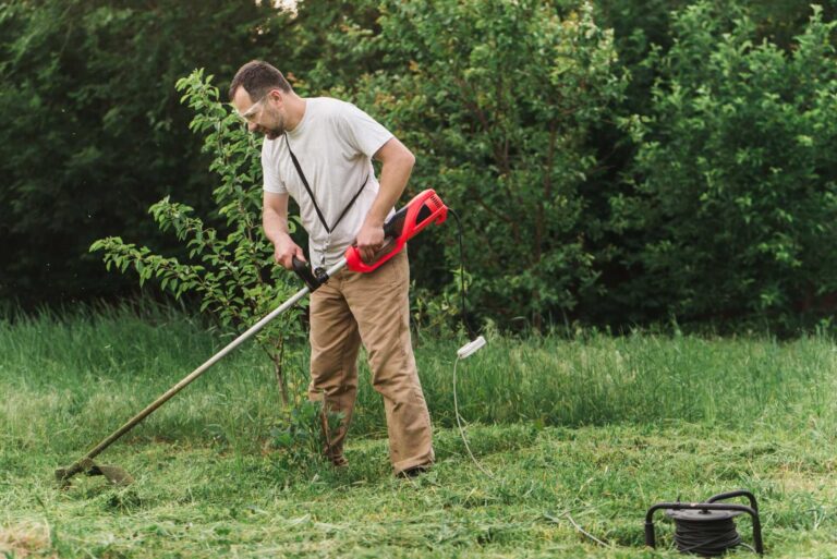 Why Choose Grand Rapids Lawn Care Year-Round?