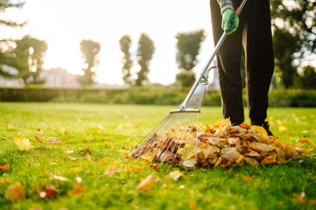 Effective Leaf Removal Tips Near Grand Rapids