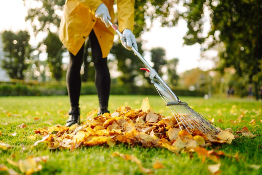 Top Fall Yard Cleaning Services in Grand Rapids