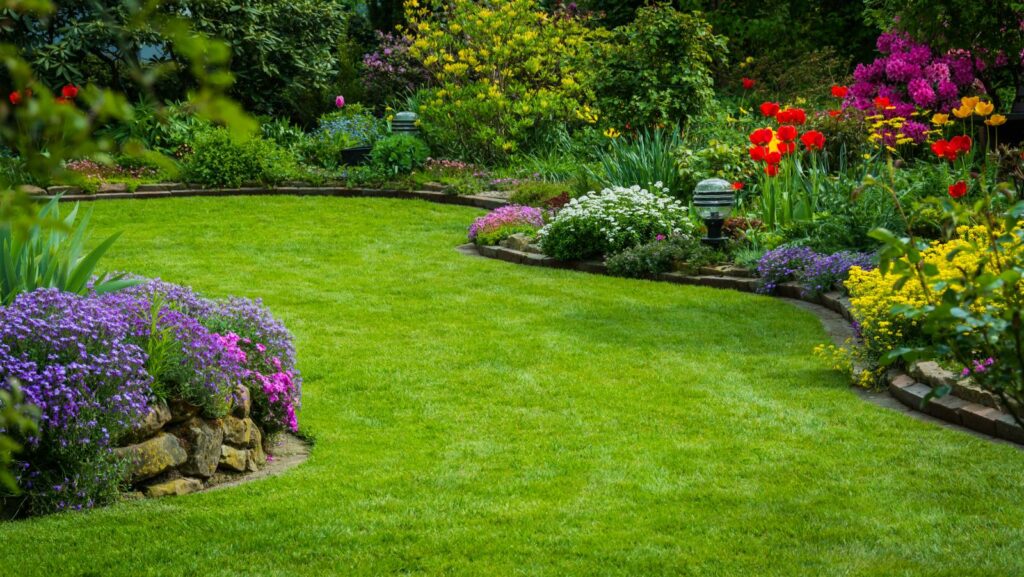 Maintaining Healthy Summer Grass: Essential Lawn Care Tips