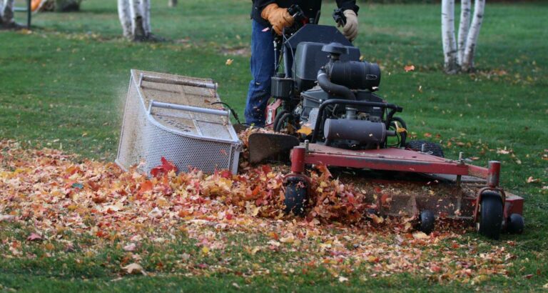 Seasonal Commercial Lawn Maintenance Plans: What to Know