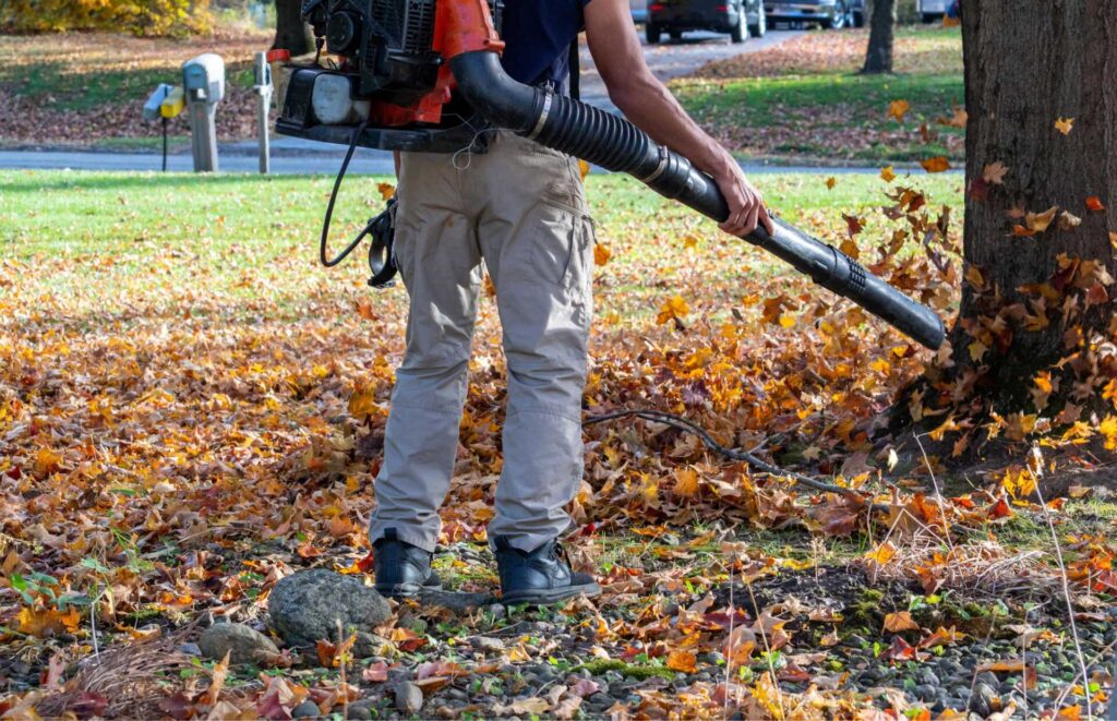 Why Choose Our Fall Cleanup Services for Commercial Lawns?