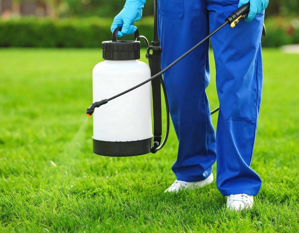 Budget-Friendly Lawn Pest Control Comparisons