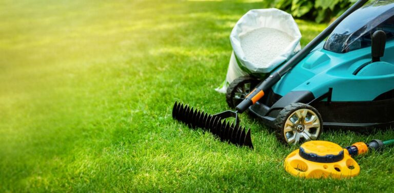 Lawn care tools on green grass