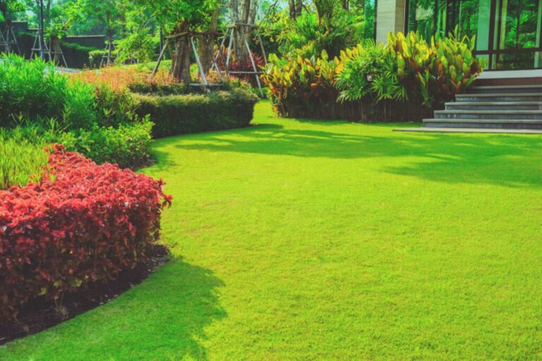 Achieving Healthy Grass With Proper Lawn Care Practices