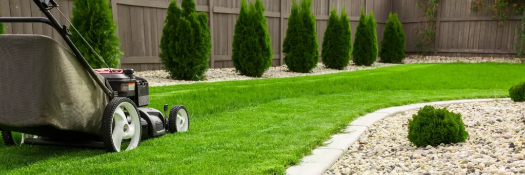 Lawn mower cutting green grass in backyard mowing lawn, Organic Lawn Fertilization