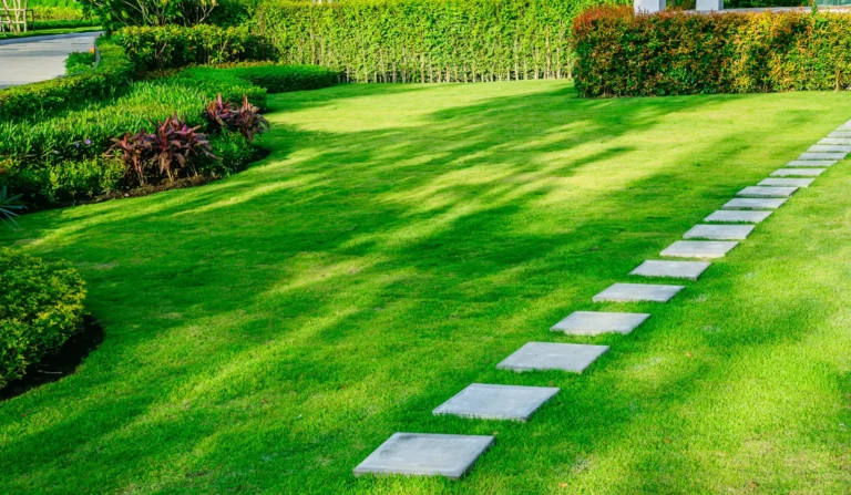 Best Lawn Insect Treatments. Pathway in garden green lawns with bricks pathways garden landscape design