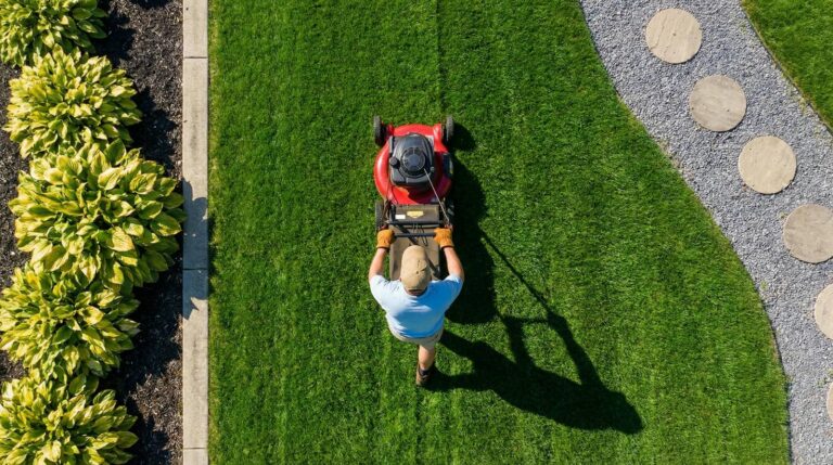 Top 5 Benefits of Grass Overseeding for Lawns