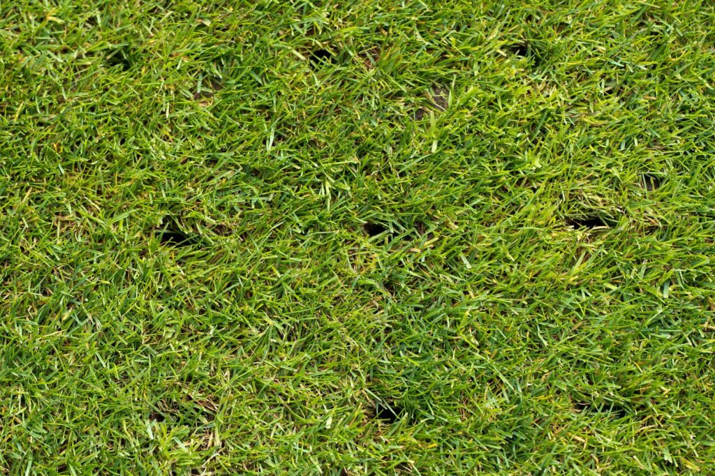 Top Lawn Aeration Techniques for Pest Management
