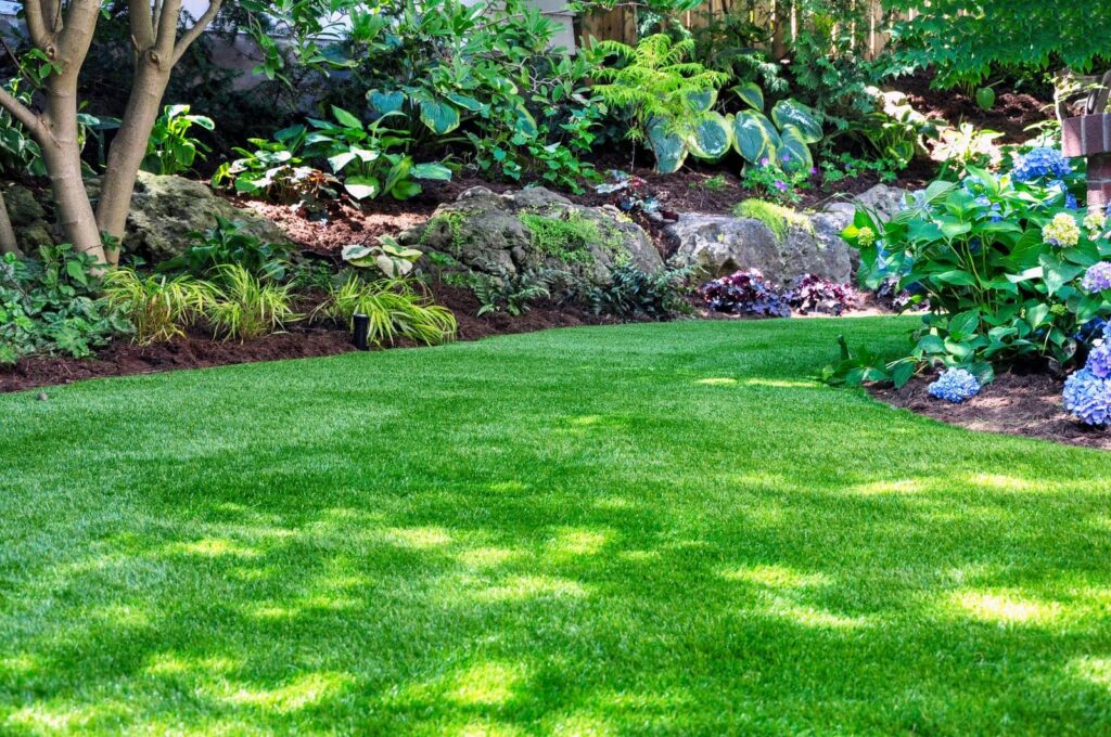 Lush green lawn with surrounding plants.