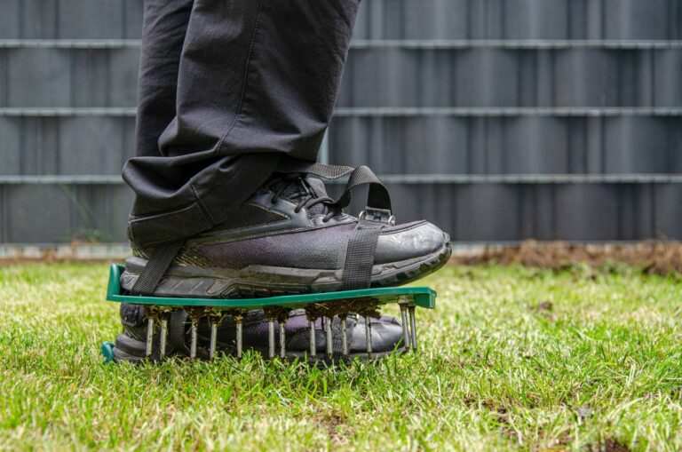 Ultimate Guide to Lawn Aeration for Pest Control