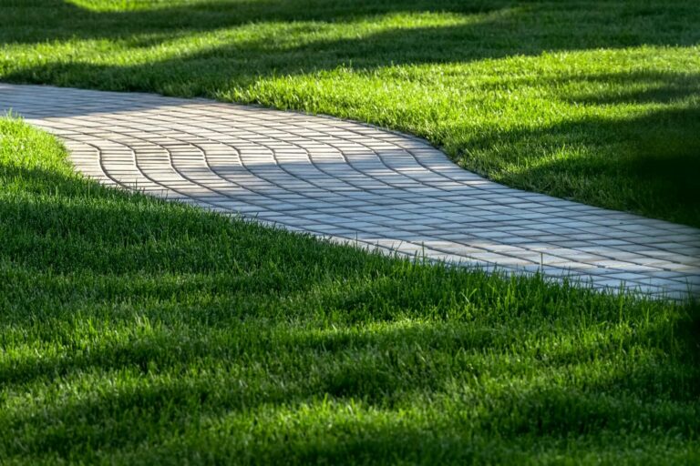 Curved pathway through lush green grass.