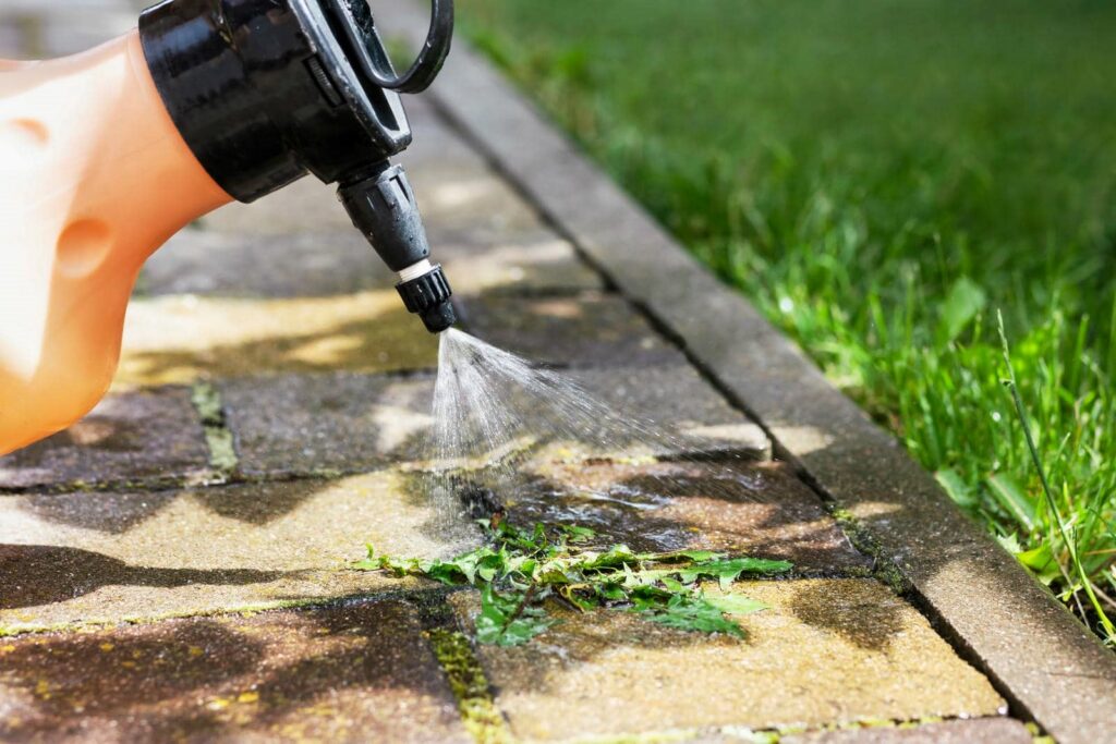 What Are Effective Weed Repellant Application Techniques?