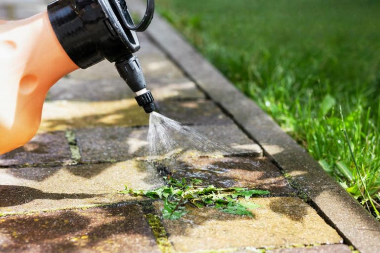 What Are Effective Weed Repellant Application Techniques?