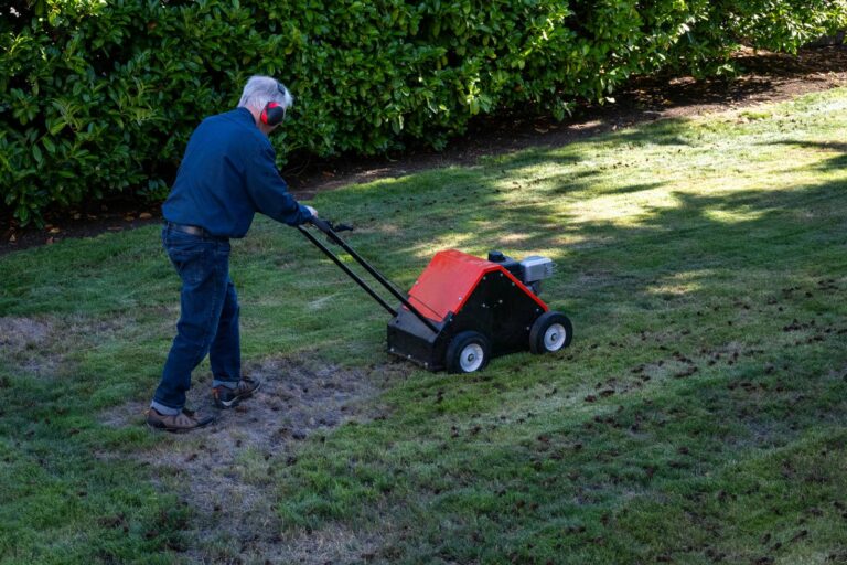 Why Aerate Your Lawn for Healthy Growth?