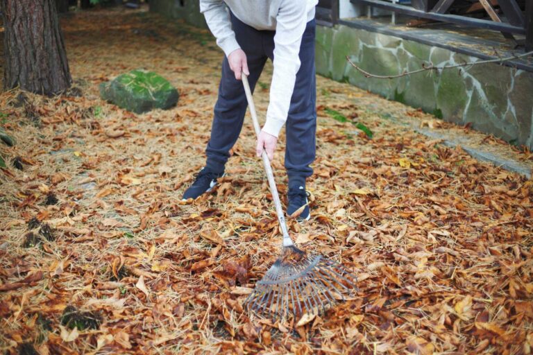 Expert Tips for Fall Yard Cleanup in Grand Rapids