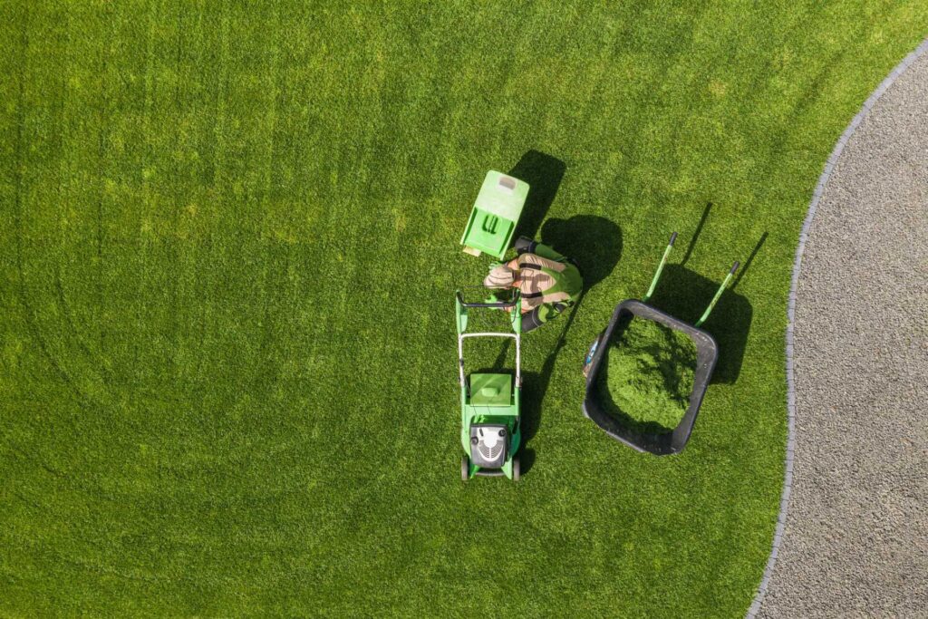 Choosing Lawn Care Packages for Grand Rapids Businesses