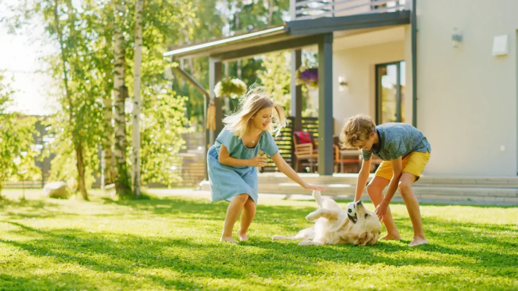 Two children and a dog playing happily on a green lawn.