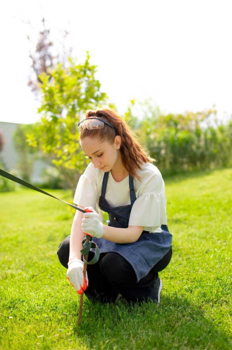 10 Tips for Lawn Care Packages in Grand Rapids