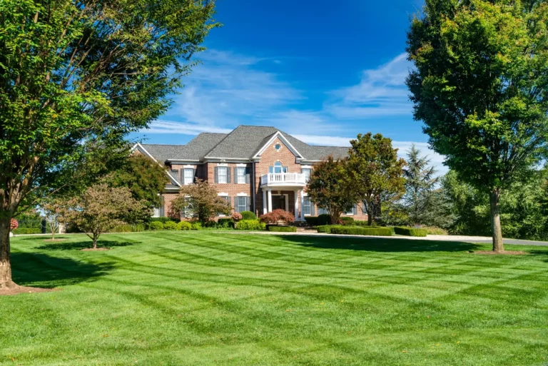large home front lawn after the Expert Lawn Pest Control Tips received