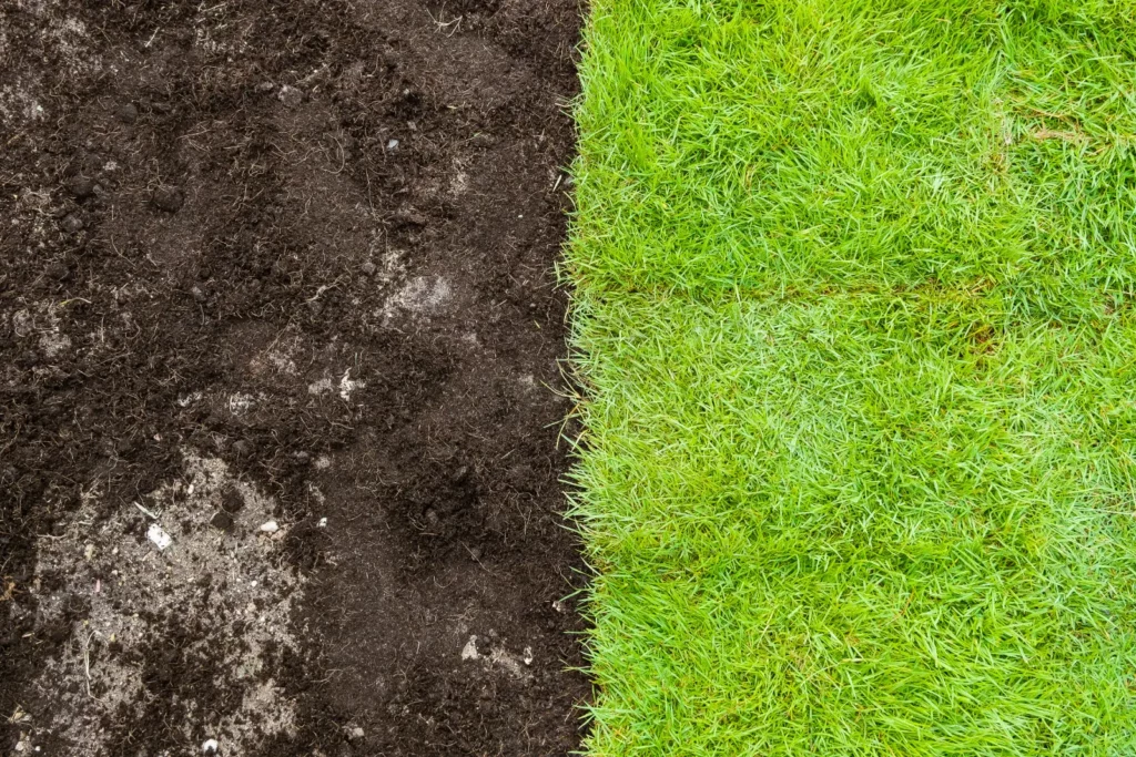 Seasonal Lawn Care Strategies lawn and soil