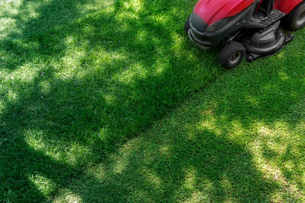 Choose Integrated Lawn Care. Lawn mower cutting grass