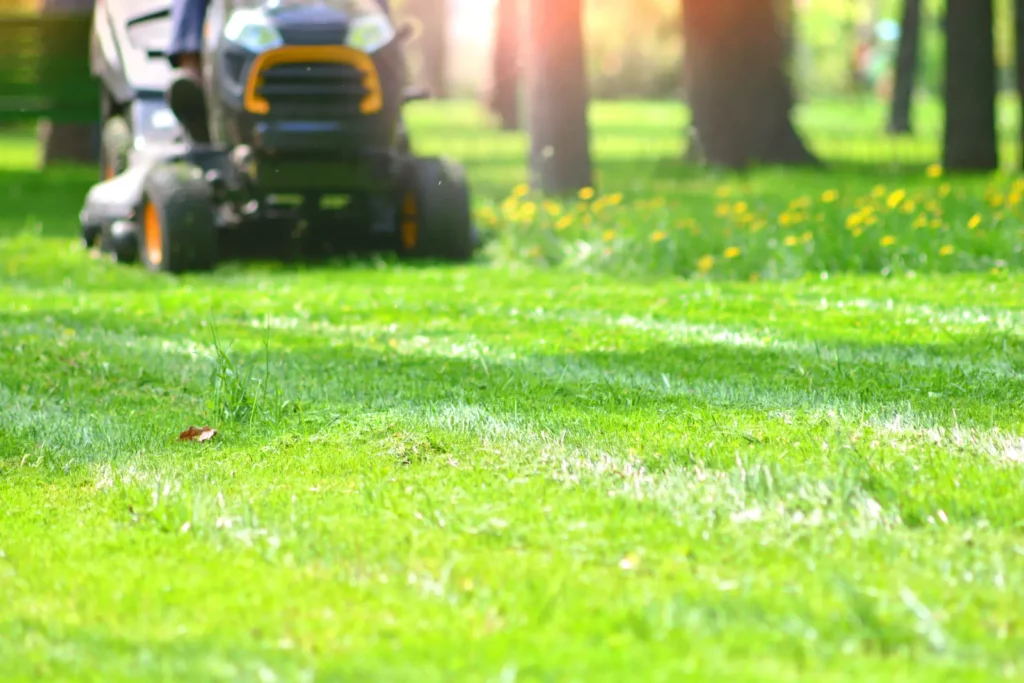 Best Lawn Grub Treatments with a lawnmower on bright yard